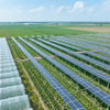Sistema agricolo agricolo solare Scattonaggio kit di pannelli solari per foto di montaggio a terra fotovolta